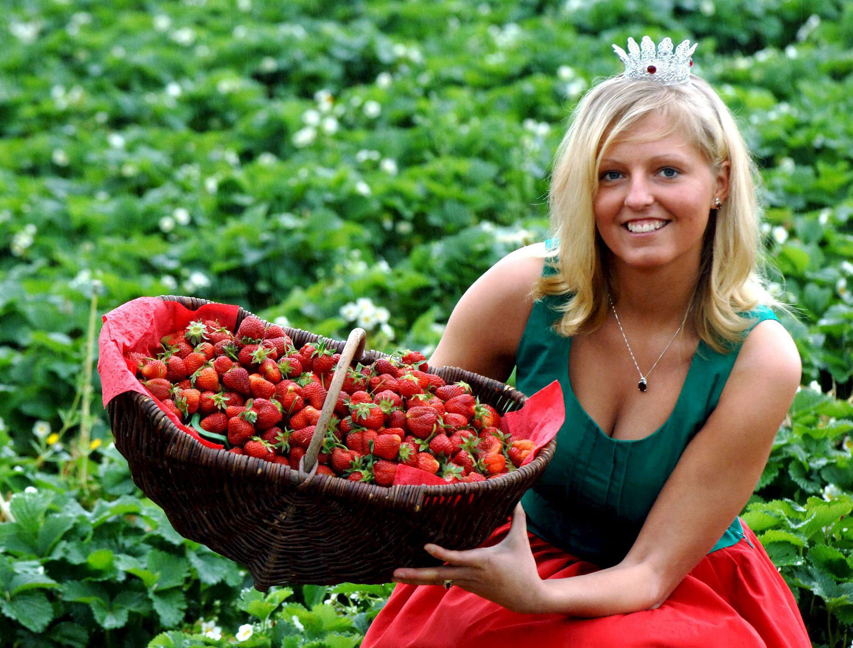 На фото голая русская девочка собирает клубнику