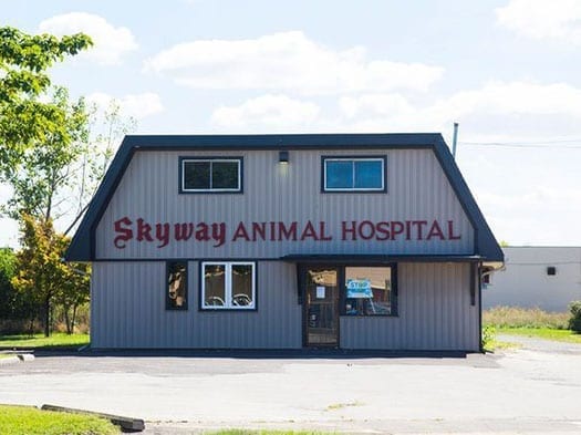 Se realiza una protesta en Skyway Animal Hospital donde un veterinario fue suspendido